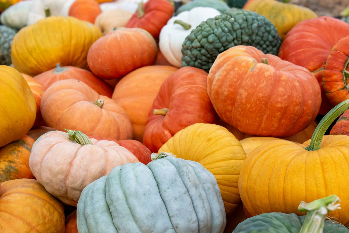 14 Eco-Friendly Halloween Decoration Ideas