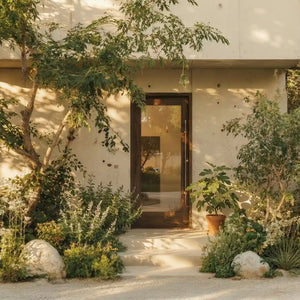 Entrance to a house with a modern single panel glass door, surrounded by plants and rocks.