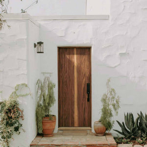 Wooden door with plants on either side on a white wall