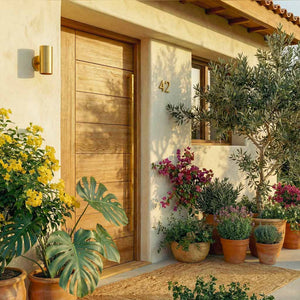 Decorative entrance with wooden door, potted plants, and a warm outdoor ambiance.