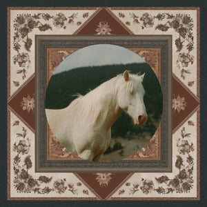 Cremello horse