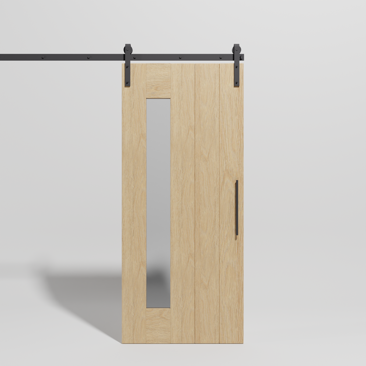 Mid-Century Modern Panel Side Lite Sliding Barn Door design by RealCraft