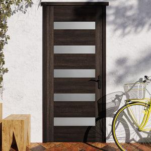 Narrows Five Panel Glass Solid Core Exterior Door