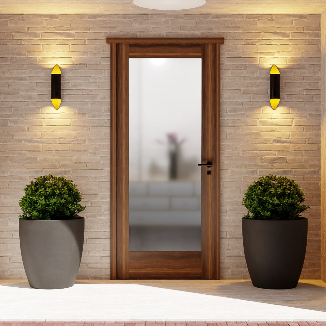 Modern Single Panel Solid Core Exterior Glass Door on exterior area with two plant pots on the side