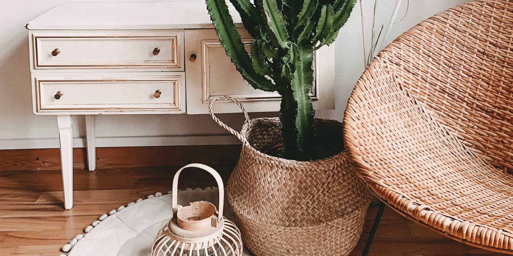 Boho Decoration room featuring plants and rattan furniture and accessories.