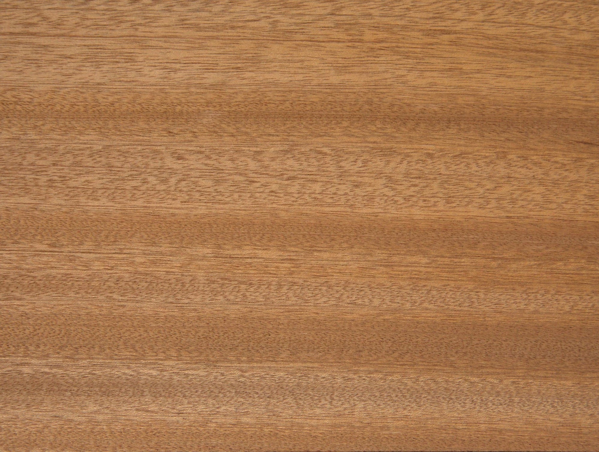 African Mahogany Vs Sapele: Which Wood is Best for Your Project?