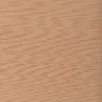 Interior Western Red Cedar Wood Sample