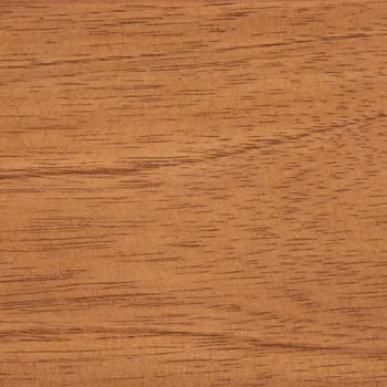 Interior Spanish Cedar Wood Sample