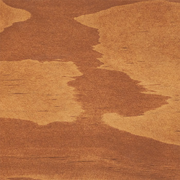 Interior Accoya Wood Sample