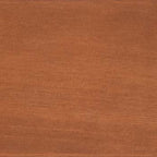 Interior Western Red Cedar Wood Sample