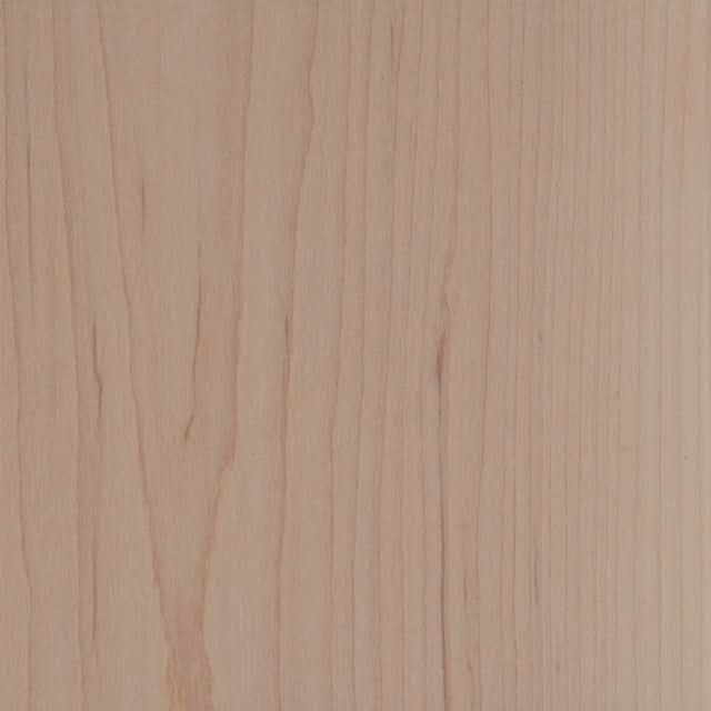 Maple Wood Sample