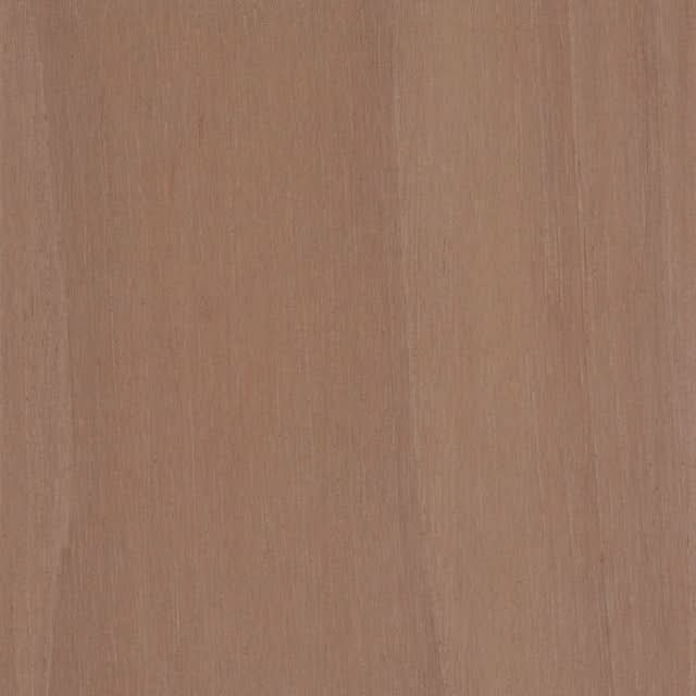 Spanish Cedar Wood Sample