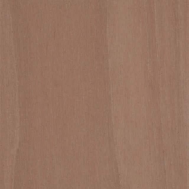 Spanish Cedar Wood Sample