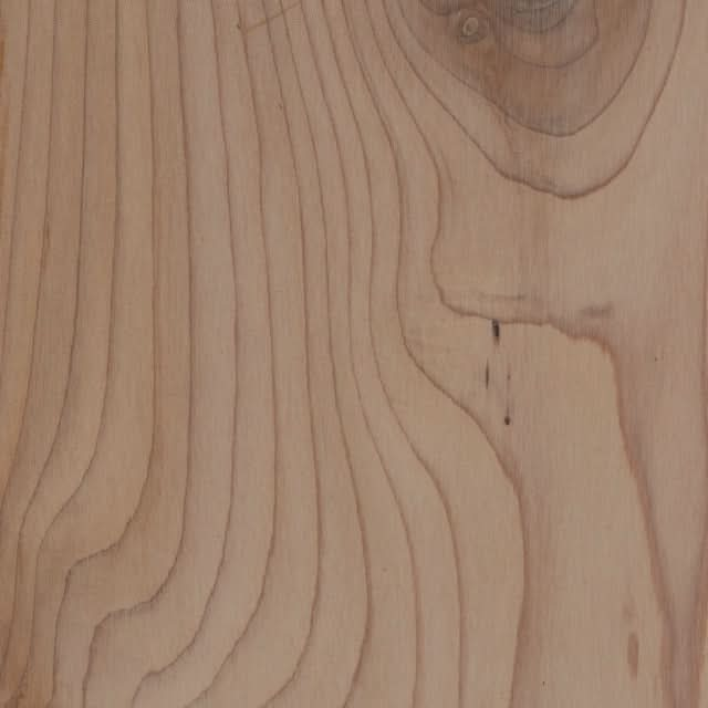 Tight Knot Cedar Wood Sample