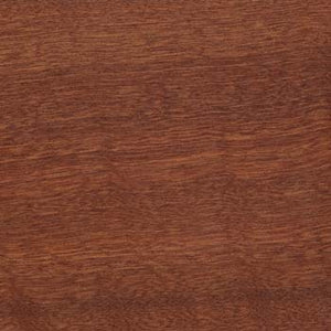 Interior Sapele Wood Sample