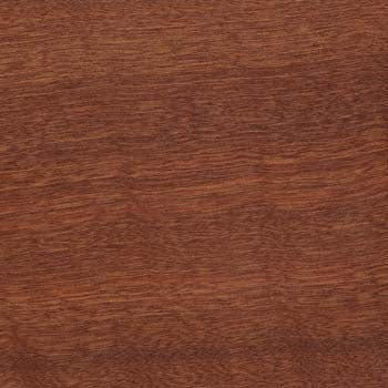 Interior Sapele Wood Sample