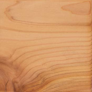 Interior Tight Knot Cedar Wood Sample