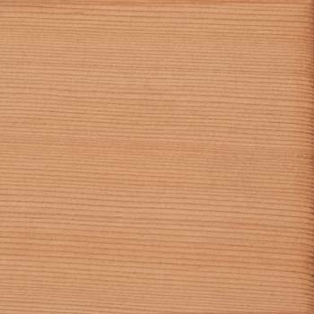 Interior Western Red Cedar Wood Sample