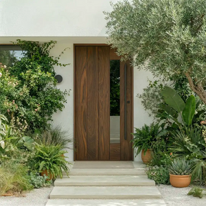 Carmel Mid-Century Modern Front Door With Side Window with plants on either side on a white wall