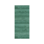 horizontal plank farmhouse green barn door