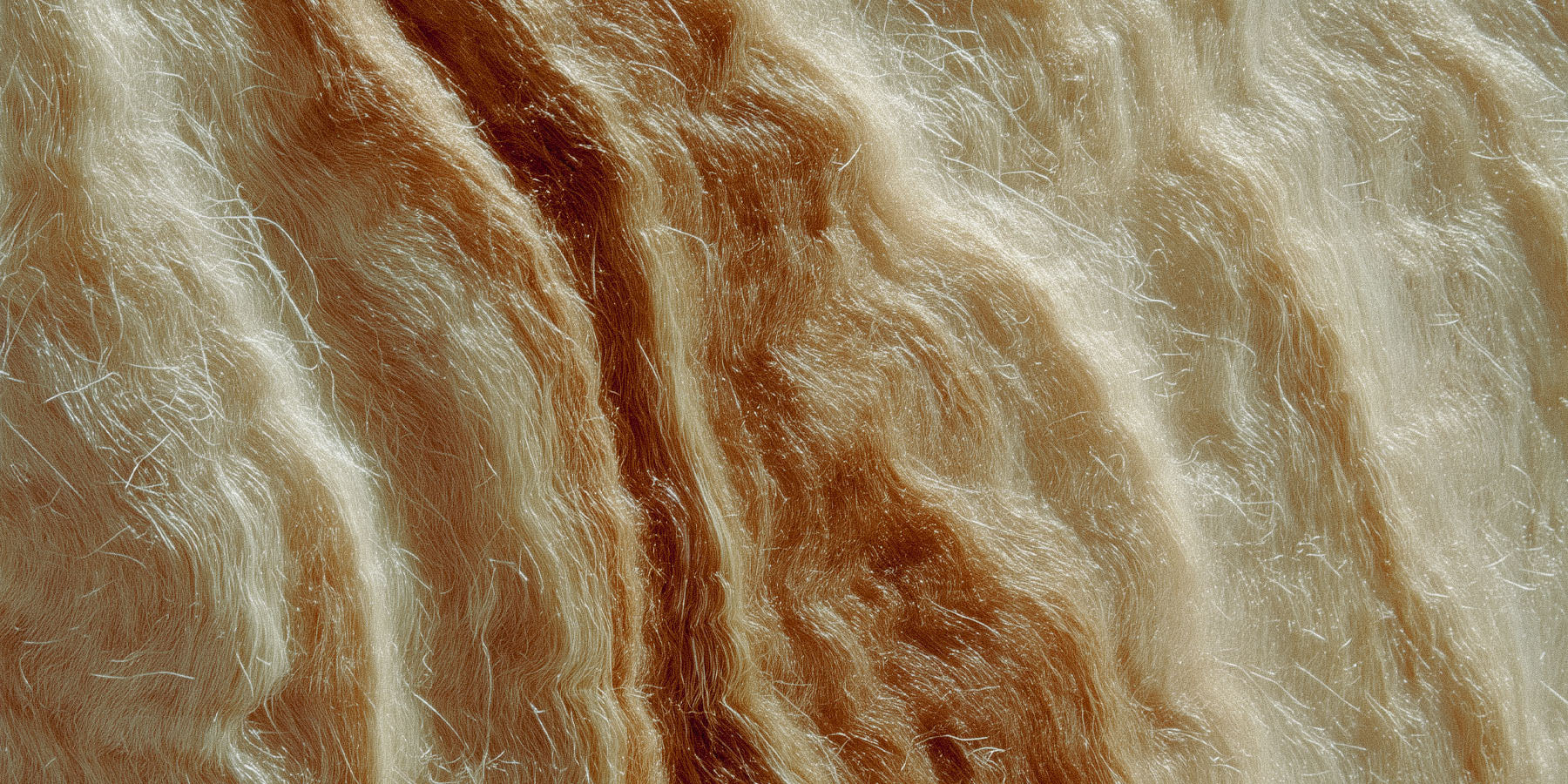 Palomino horse mane