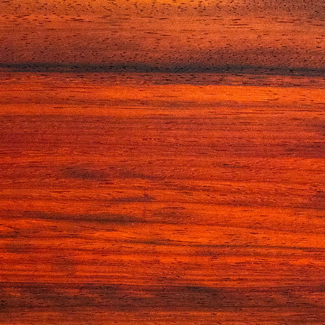 Padauk Wood Sample