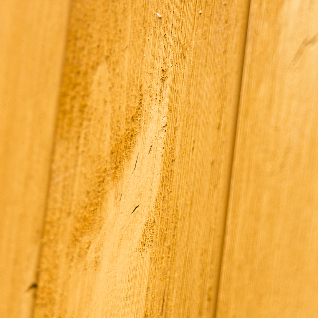 Yellow Barn Door color close up