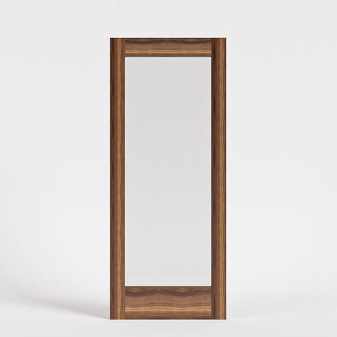 Modern Single Panel Glass Pocket Door