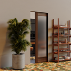 Modern Single Panel Glass Pocket Door next to a bookshelf and plant
