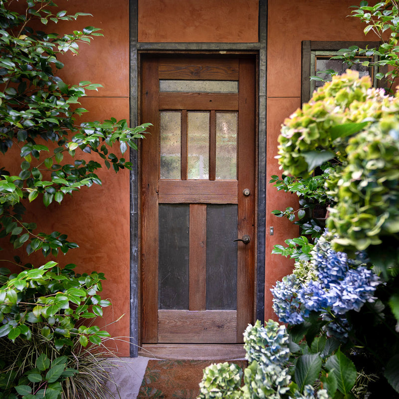 Wooden door framed by lush green plants and blue hydrangeas against a textured orange wall, conveying a rustic and inviting atmosphere.