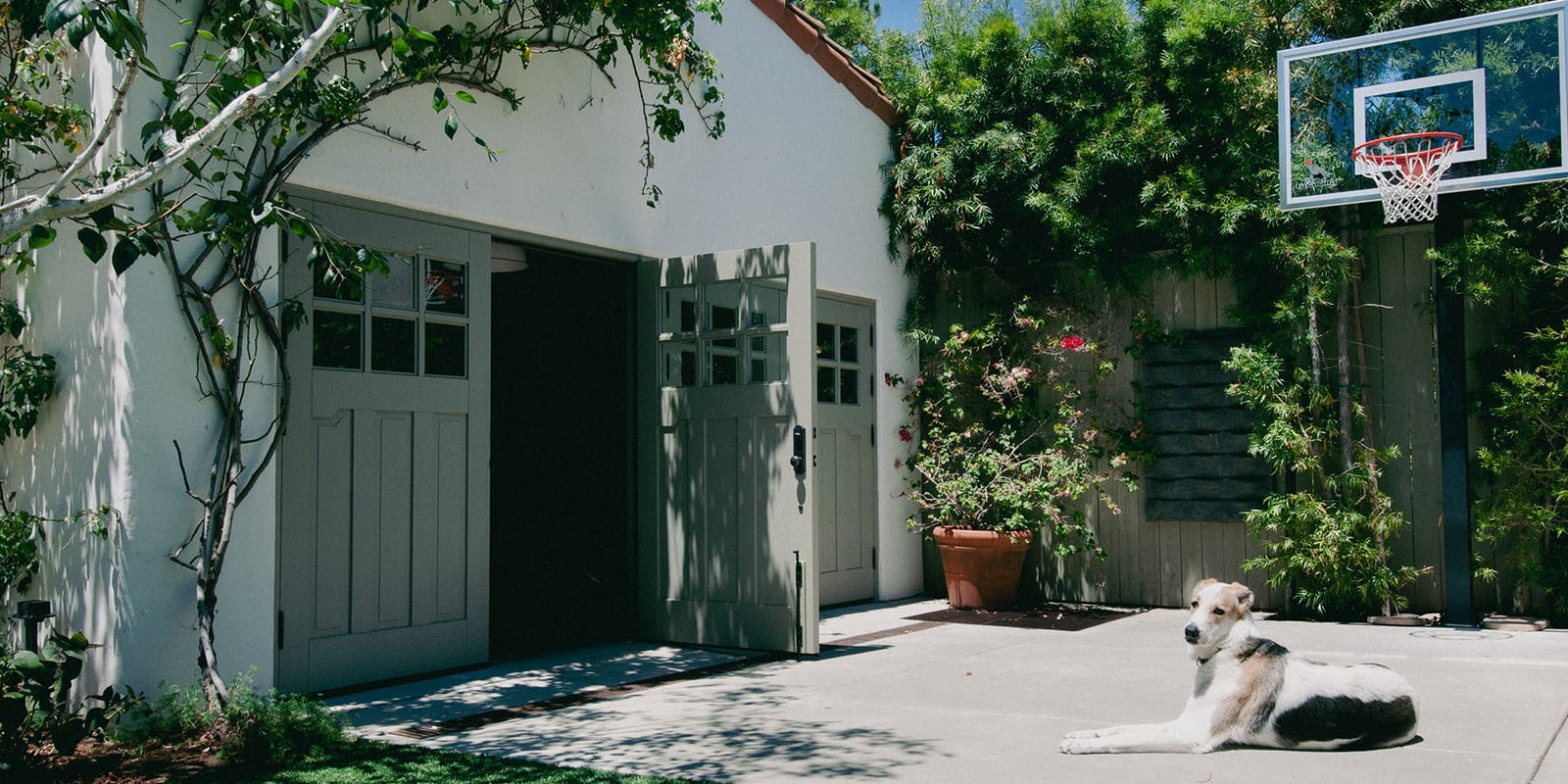 Custom green carriage doors with a dog and basketball net in driveway