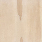 Accoya Wood Sample