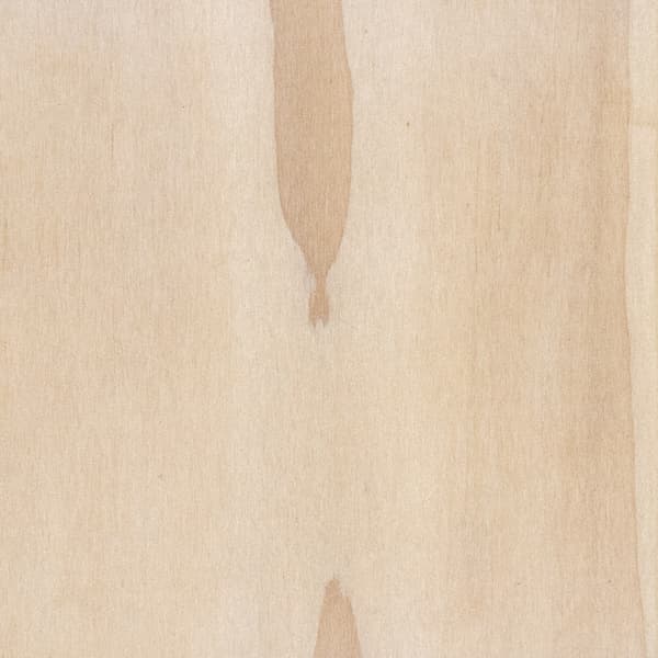 Accoya Wood Sample