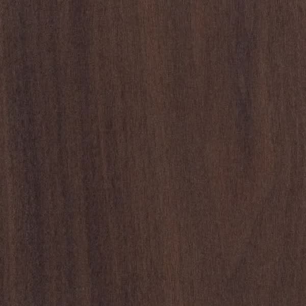 Knotty Black Walnut Wood Sample