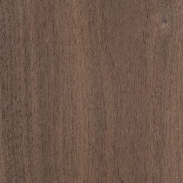 Knotty Black Walnut Wood Sample