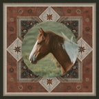 Pinto Horse