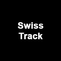 Architectural Swiss Rod Track (Brass)