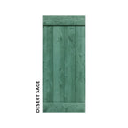 Desert Sage Green barn door