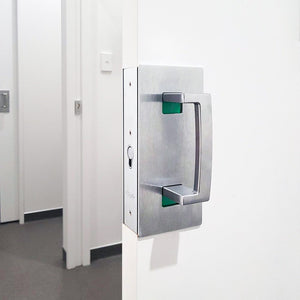 Modern Single Panel Glass Pocket Door
