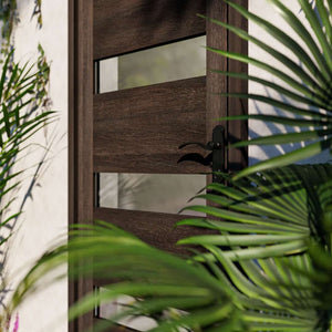 Wenge Wood Modern Four Panel Glass Solid Core Exterior Front Door in garden area