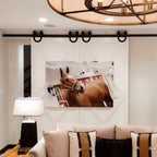 Horseshoe double barn door hardware kit