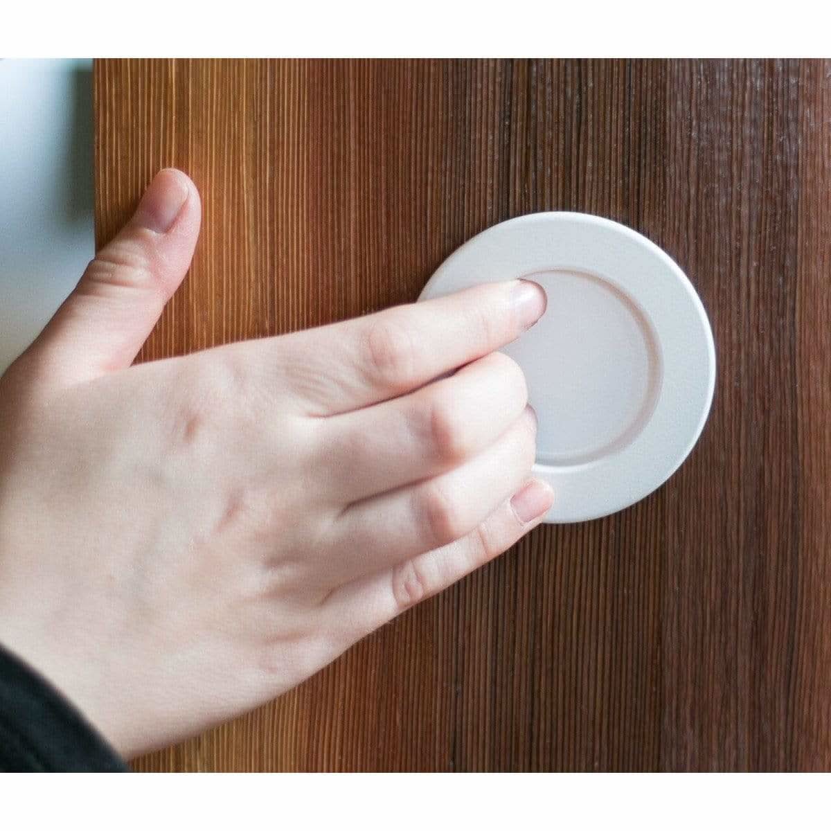 Odessa Barn Sliding Door Pulls