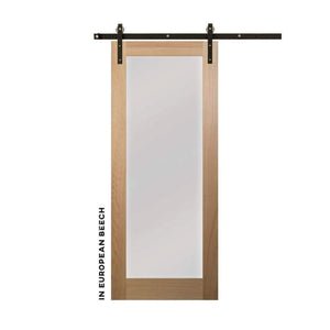 Single Panel Sliding Glass Barn Door - Sliding Barn Door Hardware by RealCraft